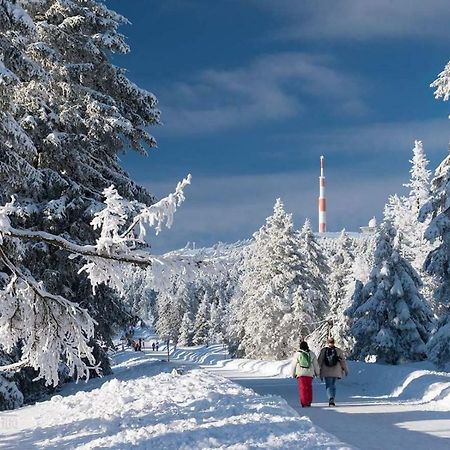 Ferienwohnung Arnika Inklusive Waeschepaket Braunlage Exterior foto