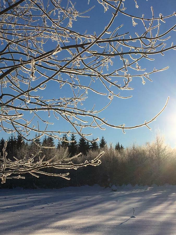 Ferienwohnung Arnika Inklusive Waeschepaket Braunlage Exterior foto