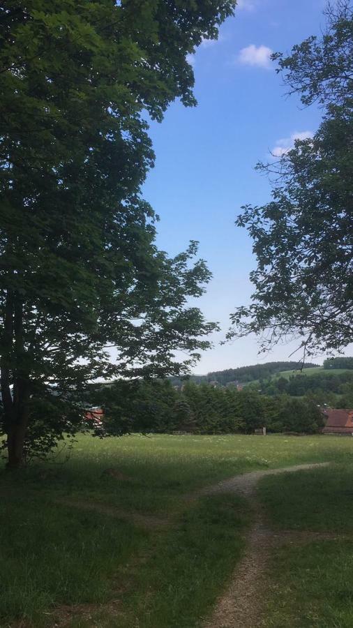 Ferienwohnung Arnika Inklusive Waeschepaket Braunlage Exterior foto
