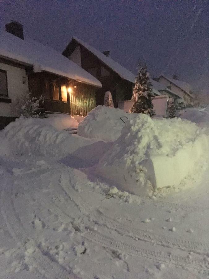 Ferienwohnung Arnika Inklusive Waeschepaket Braunlage Exterior foto