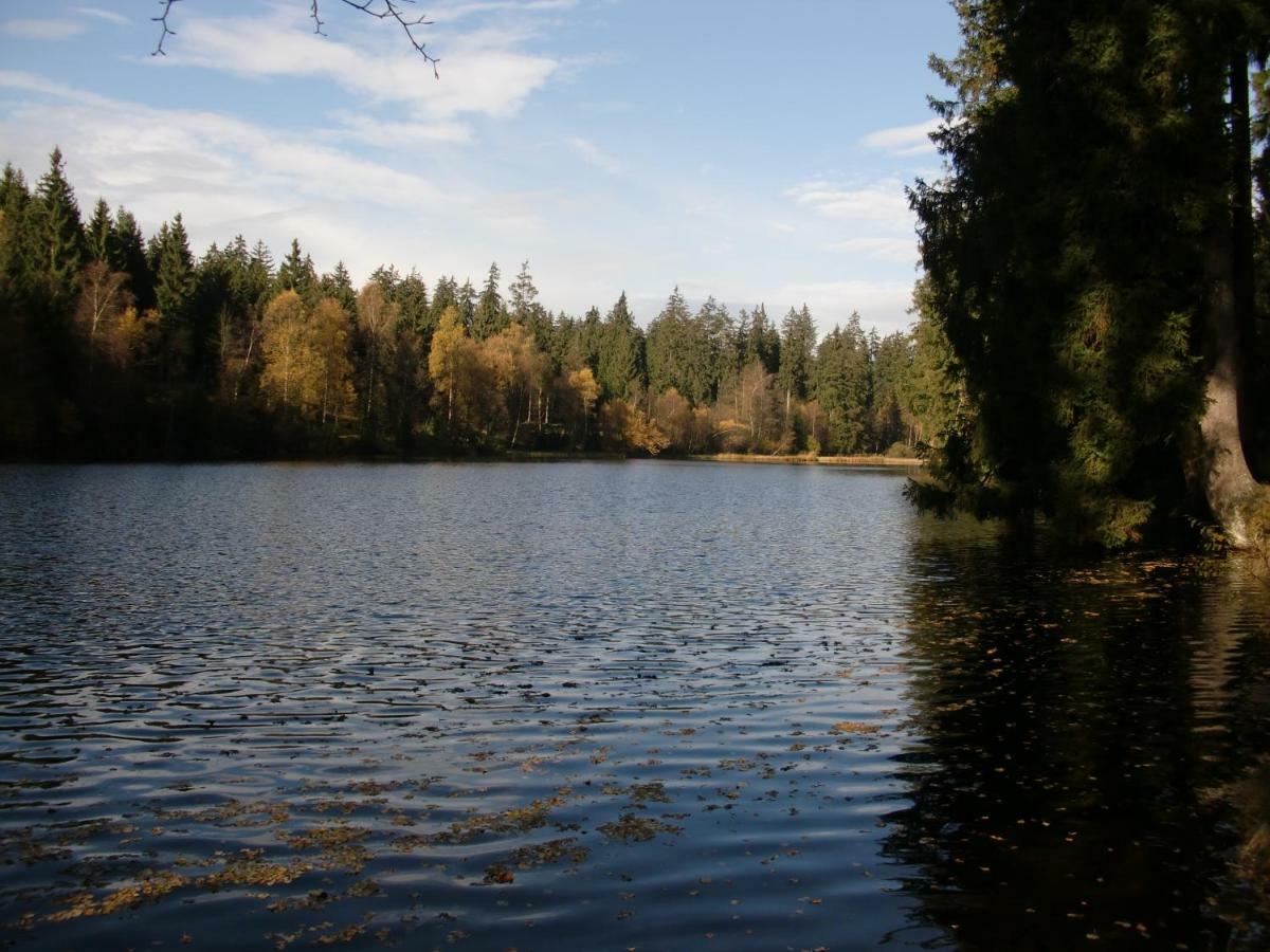 Ferienwohnung Arnika Inklusive Waeschepaket Braunlage Exterior foto