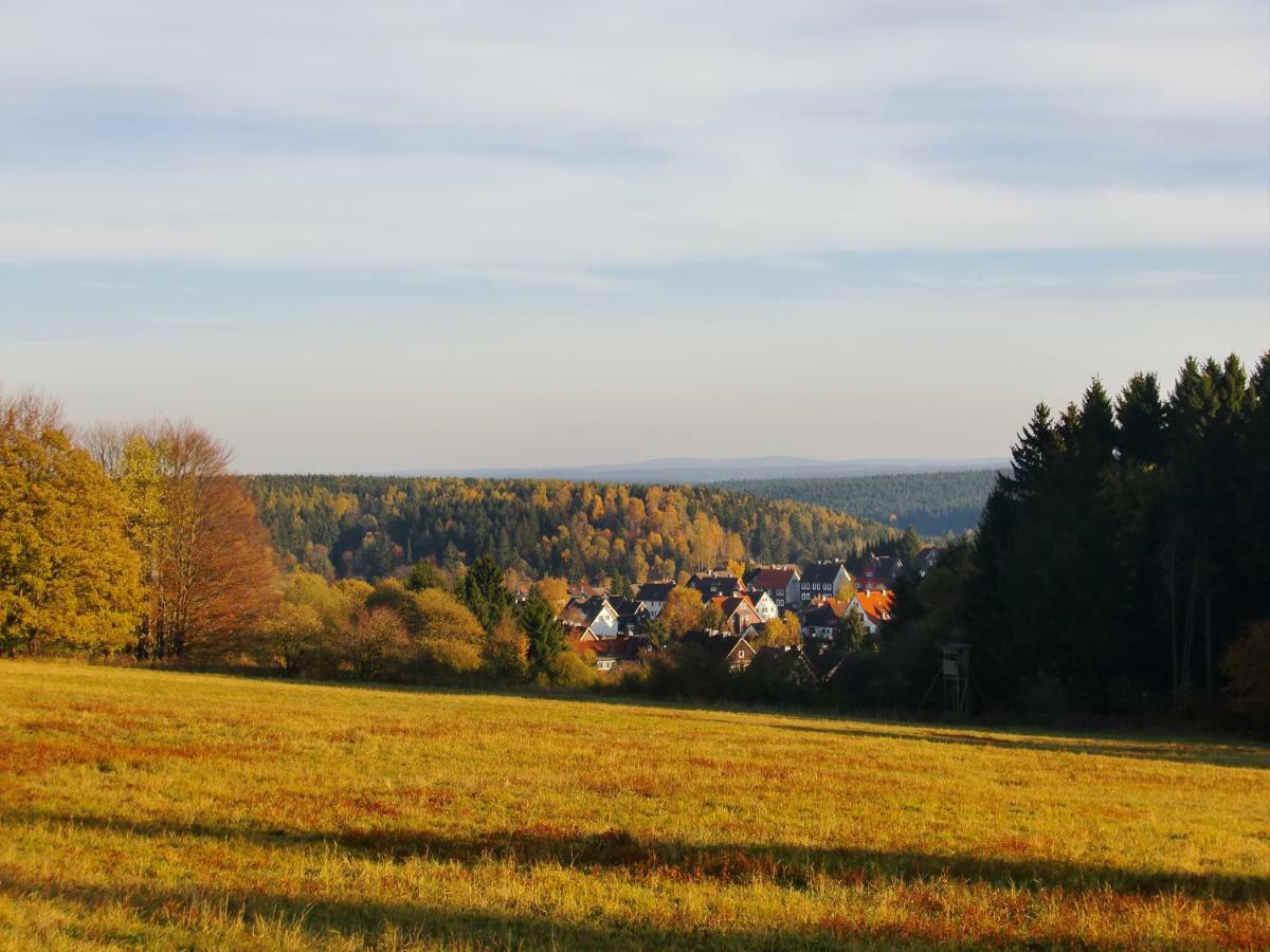 Ferienwohnung Arnika Inklusive Waeschepaket Braunlage Exterior foto