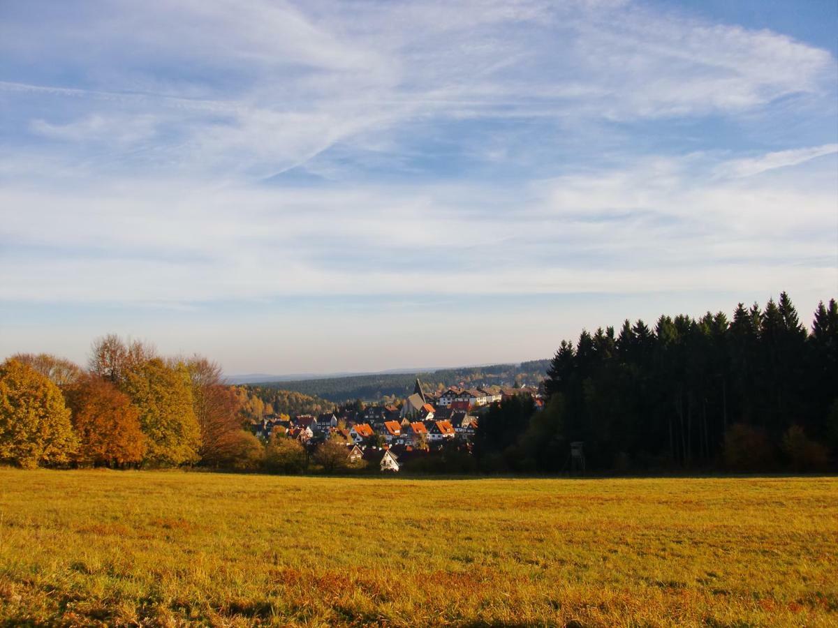 Ferienwohnung Arnika Inklusive Waeschepaket Braunlage Exterior foto