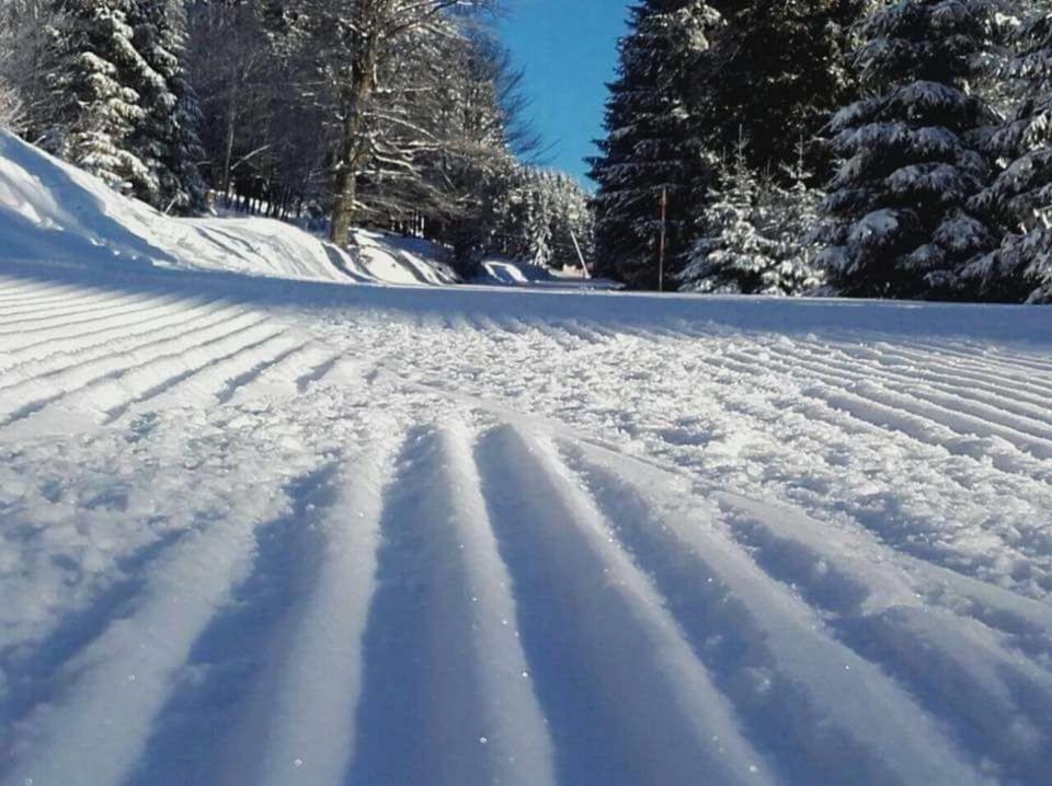 Ferienwohnung Arnika Inklusive Waeschepaket Braunlage Exterior foto