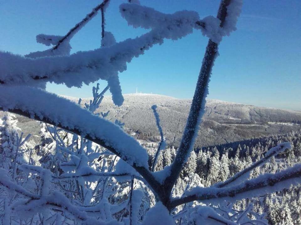 Ferienwohnung Arnika Inklusive Waeschepaket Braunlage Exterior foto